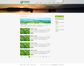 养瑞集团携手奥远科技打造官方网站，看昆明网络公司如何赋能企业数字化未来